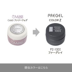 画像5:  PREGEL カラーZ  ファーグレイ PZ-100I　3g［メール便OK］ (5)