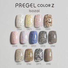 画像3:  PREGEL カラーZ  ナッツフレーク PZ-089I　3g［メール便OK］ (3)