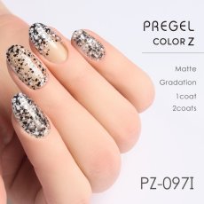 画像2:  PREGEL カラーZ  モノトーンサンド PZ-097I　3g［メール便OK］ (2)
