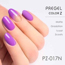 画像2:  PREGEL カラーZ ビビッドパープル PZ-017N　3g［メール便OK］ (2)