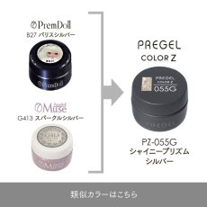 画像5:  PREGEL カラーZ  シャイニープリズムシルバー PZ-055G　3g［メール便OK］ (5)