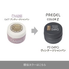 画像5:  PREGEL カラーZ  ヴィンテージシャンパン PZ-049G　3g［メール便OK］ (5)