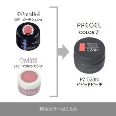 画像5:  PREGEL カラーZ ビビッドピーチ PZ-023N　3g［メール便OK］ (5)