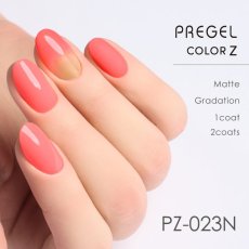 画像2:  PREGEL カラーZ ビビッドピーチ PZ-023N　3g［メール便OK］ (2)