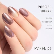 画像2:  PREGEL カラーZ コッパーシャンパン PZ-045G　3g［メール便OK］ (2)