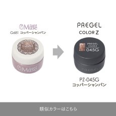 画像5:  PREGEL カラーZ コッパーシャンパン PZ-045G　3g［メール便OK］ (5)