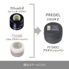 画像5:  PREGEL カラーZ プラチナシャンパン PZ-040G　3g［メール便OK］ (5)