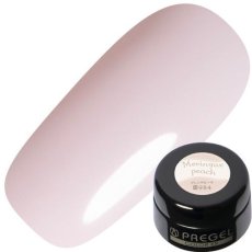 画像15:  PREGEL カラーEX  パティスリーコロレシリーズ　各3g［メール便OK］ (15)