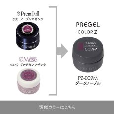 画像5:  PREGEL カラーZ ダークノーブル PZ-009M　3g［メール便OK］ (5)