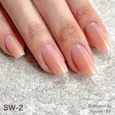 画像8: NAIL DE DANCE パウダー スウィング 20g　SW-1 ~ SW-5［メール便OK］ (8)