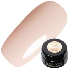 画像14:  PREGEL カラーEX  パティスリーコロレシリーズ　各3g［メール便OK］ (14)