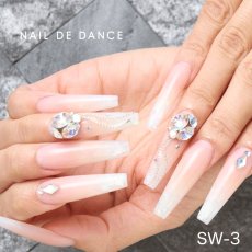画像9: NAIL DE DANCE パウダー スウィング 20g　SW-1 ~ SW-5［メール便OK］ (9)