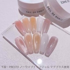 画像13: NAIL DE DANCE パウダー スウィング 20g　SW-1 ~ SW-5［メール便OK］ (13)