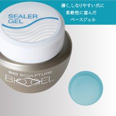 画像1: Bio Sculpture Gel シーラージェル N2　4.5g/10g/25g［メール便OK］［検定対応］ (1)