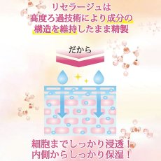 画像4: リセラージュ 高濃度ヒト幹細胞培養液配合美容液 30ml ［メール便OK］ (4)
